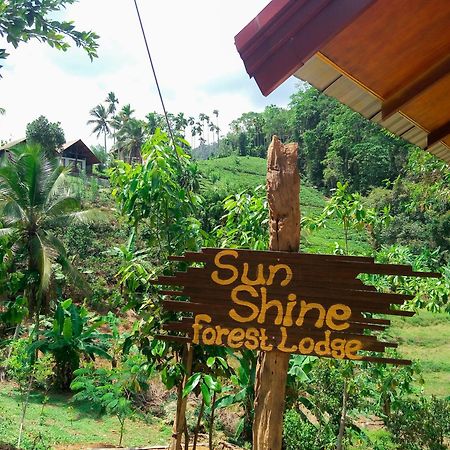 דניאיאה Sunshine Forest Lodge - Sinharaja מראה חיצוני תמונה