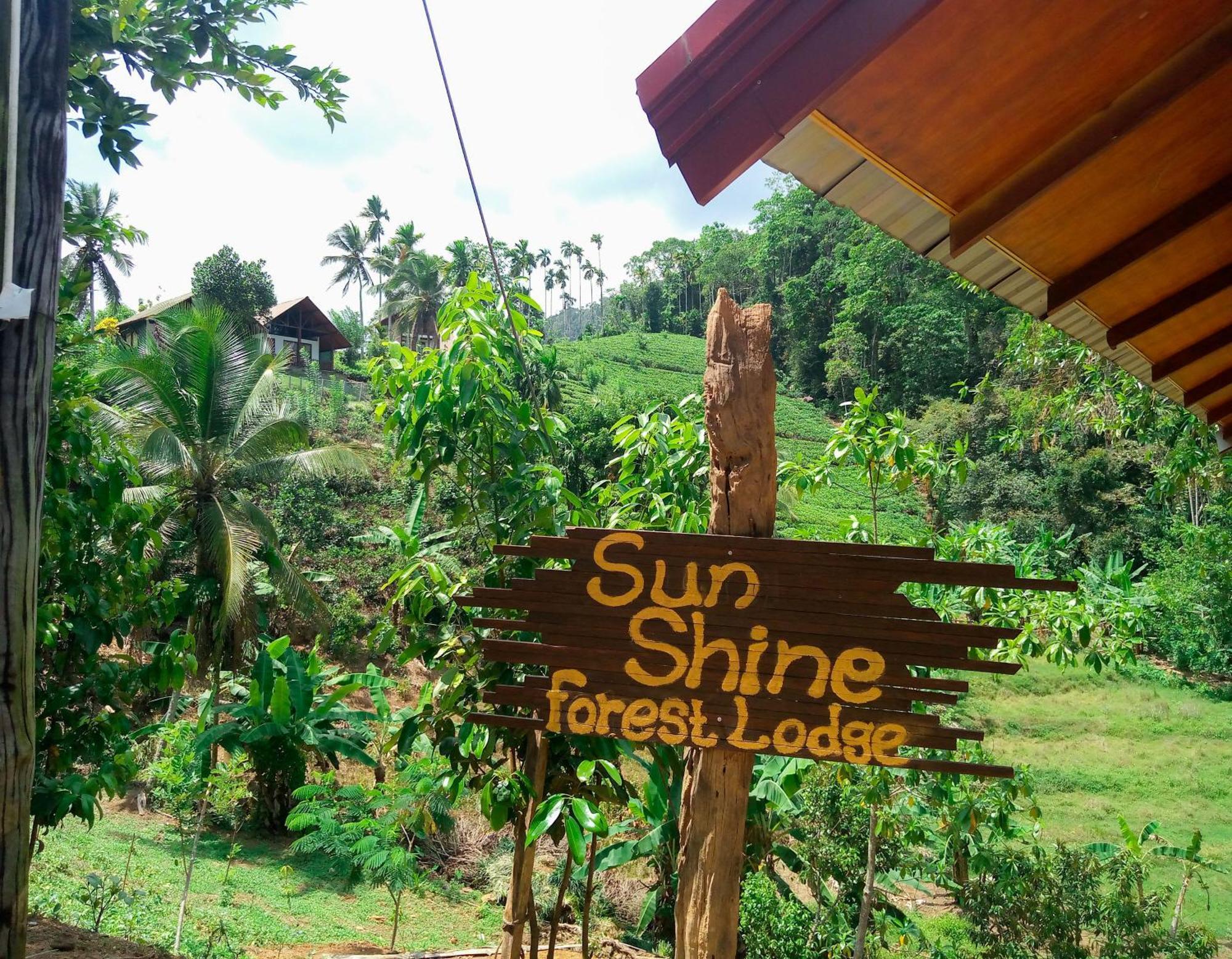דניאיאה Sunshine Forest Lodge - Sinharaja מראה חיצוני תמונה
